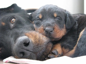 bonne approche site rencontre